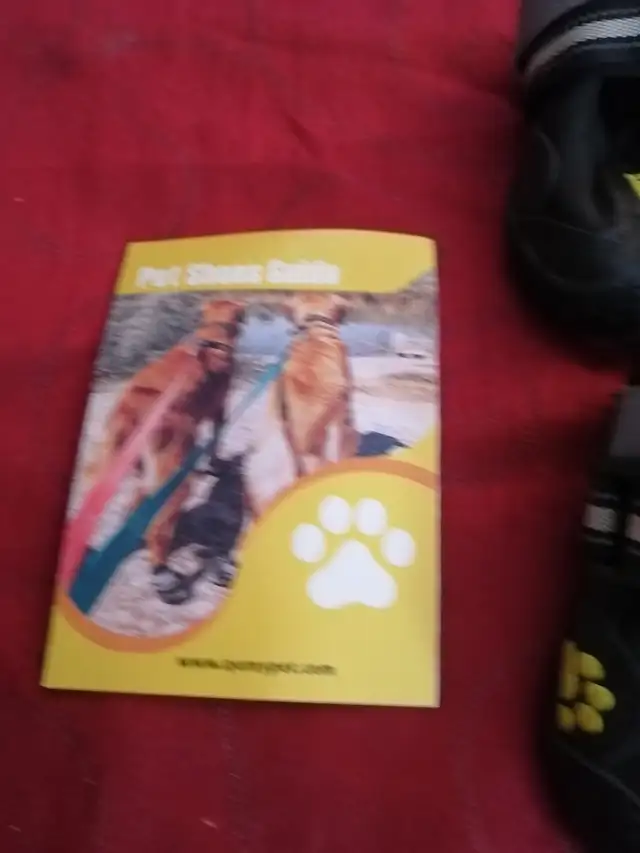 Qumy pet boots brand new