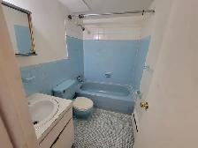 Studio 1.5 Apartment in Dorval – Available October 1st - Photo 2