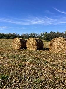 Green feed bales - Photo 2