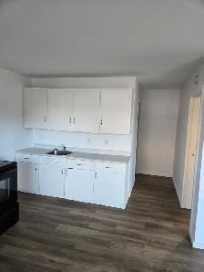 THESSALON: upgraded corner apartment unit for rent