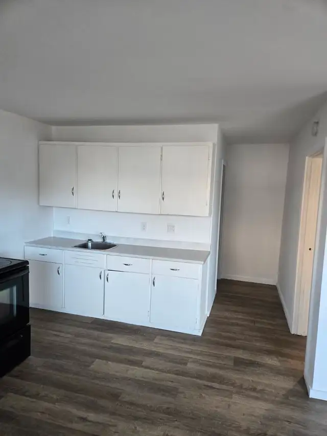 THESSALON: 1 Bedroom unit all inclusive
