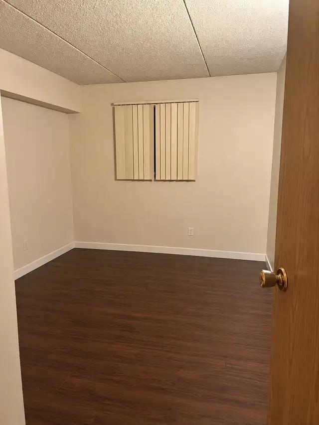 Room for rent in sharing