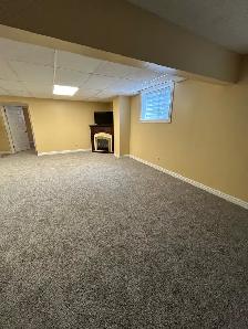 One Bedroom Basement Apartment - Photo 9