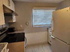 824 Glenesk Pl-basement suite - Photo 3