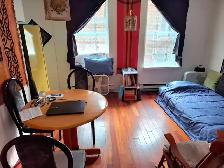 Appartement 1 et demi à sous-louer pour 6 mois