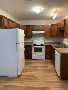 Apartments for Rent – Senior & General Units Available - Photo 6