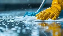 Professional Cleaning Services