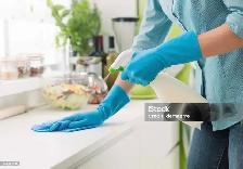 Professional Cleaning Services - Photo 2