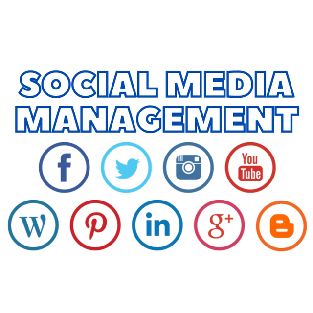 Professional Social Media Manager & Marketing