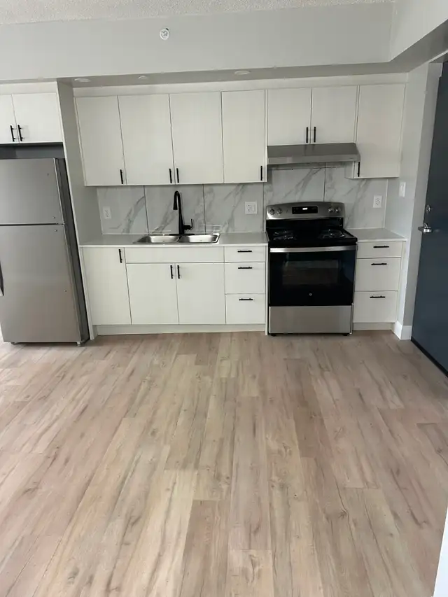 Brand New One Bedroom Available October & November Minnow lake