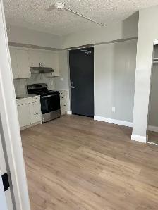 Brand New One Bedroom Available October & November Minnow lake - Photo 3