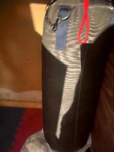 pubching bag - Photo 2