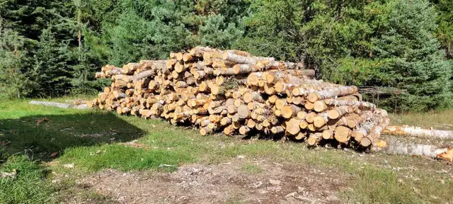 Birch Firewood Available In Shuniah