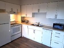 Apartment 1 Bedroom Sublet Available Now - Photo 3