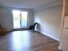 Apartment 1 Bedroom Sublet Available Now - Photo 4