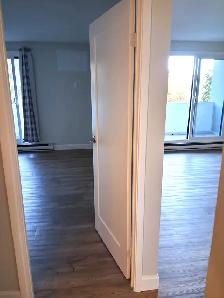 Apartment 1 Bedroom Sublet Available Now - Photo 9