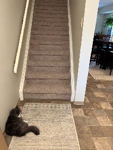 LEASE TAKEOVER – Modern 3-Bedroom Townhouse in - Photo 2