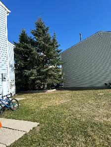 LEASE TAKEOVER – Modern 3-Bedroom Townhouse in - Photo 9