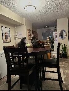 LEASE TAKEOVER – Modern 3-Bedroom Townhouse in - Photo 20