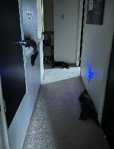 LEASE TAKEOVER – Modern 3-Bedroom Townhouse in - Photo 26