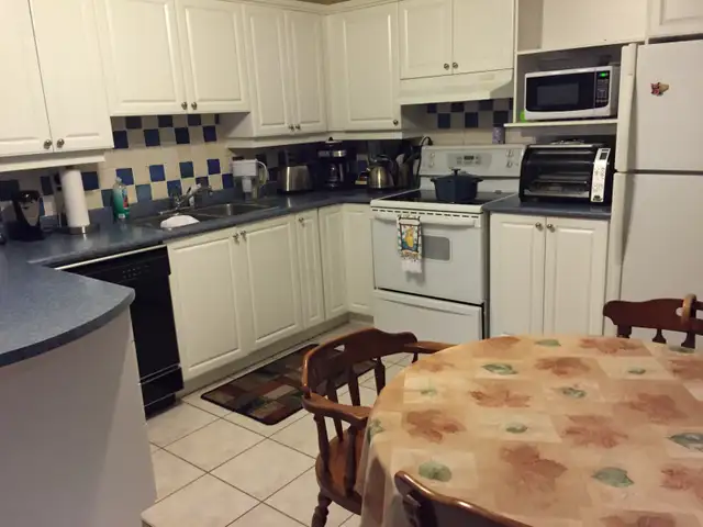 Spacious 2BR Walkout Basement Apartment Prime Location Newmarket