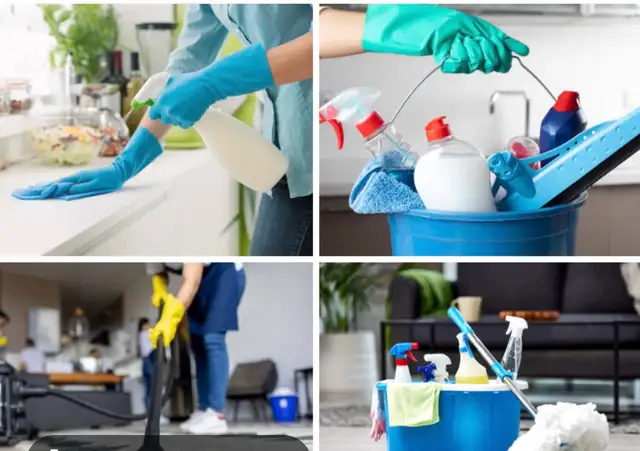 Profesional Cleaning