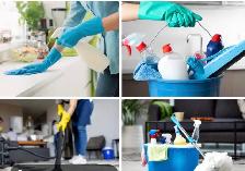 Profesional Cleaning