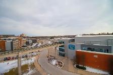 108 St. Paul St, St. Catharines - Bachelor Apartments - Photo 8