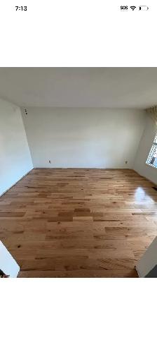 Hiring General Labour Helpers Renovations (Cash Pay) - Photo 2