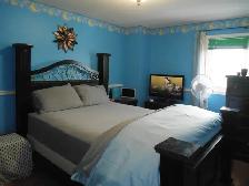 A Spacious & Private room for rent - Photo 6