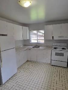 Beautiful 1 BDRM Main Floor Apartment (Central Ave) - Photo 2