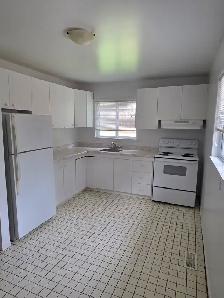Beautiful 1 BDRM Main Floor Apartment (Central Ave) - Photo 3