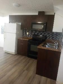 BASEMENT FOR RENT FOR GIRLS OR FAMILY ONLY AT LAUREL CROSSING