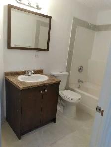 BASEMENT FOR RENT FOR GIRLS OR FAMILY ONLY AT LAUREL CROSSING - Photo 3