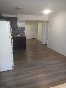 BASEMENT FOR RENT FOR GIRLS OR FAMILY ONLY AT LAUREL CROSSING - Photo 4