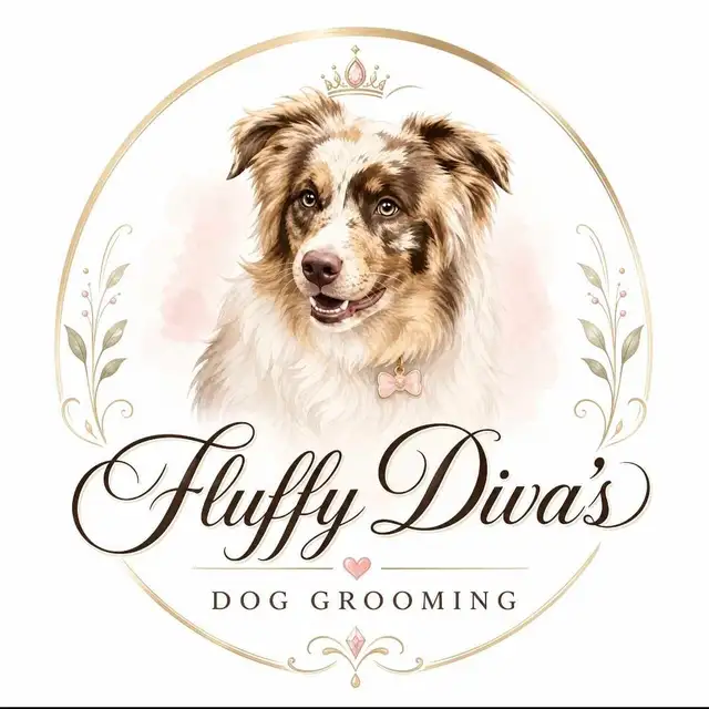 Dog Groomer 12 years experience