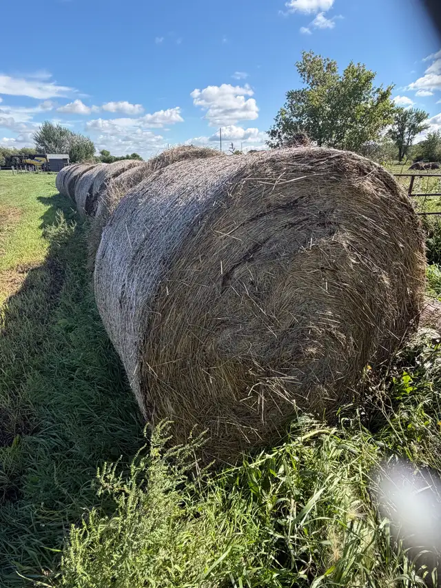 hay bales