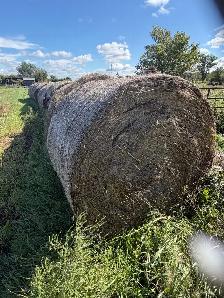 hay bales
