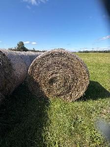 hay bales - Photo 2