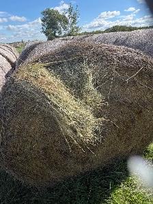 hay bales - Photo 4