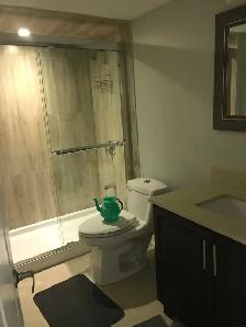 Basement apartment for rent - Photo 7