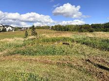 3.28 lot in beautiful neighborhood accross from pond - Photo 2