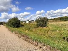 3.28 lot in beautiful neighborhood accross from pond - Photo 4