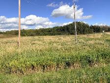 3.28 lot in beautiful neighborhood accross from pond - Photo 6