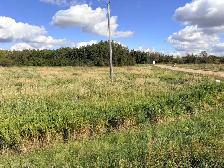 3.28 lot in beautiful neighborhood accross from pond - Photo 8
