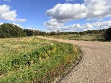 3.28 lot in beautiful neighborhood accross from pond - Photo 9