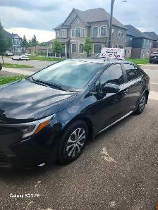 Driving instructor/ Driving lessons