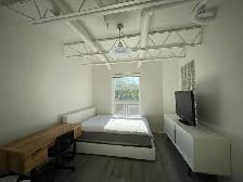 Downtown Halifax 2 Beds 2 Baths Available Nov 1st - Photo 3