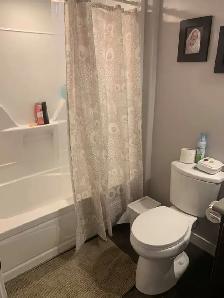 For Rent: 3-Bedroom, 2.5-Bathroom tripex Unit 2, 402 Park - Photo 5