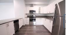 MODERN BUILT 2 BDRM. LOWER LEVEL APT.  'PARKDALE' -AVAIL. OCT. 1 - Photo 5